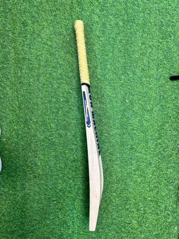 RUN Machine Leather Kashmiri Willow (Season) Cricket Bat with Cover