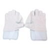 IMG_0878-Photoroom RUN Machine Premium Wicket Keeping Gloves (White & Gold) – Superior Grip, Comfort & Match Performance