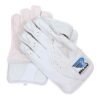 IMG_0879-Photoroom RUN Machine Premium Wicket Keeping Gloves (White & Gold) – Superior Grip, Comfort & Match Performance